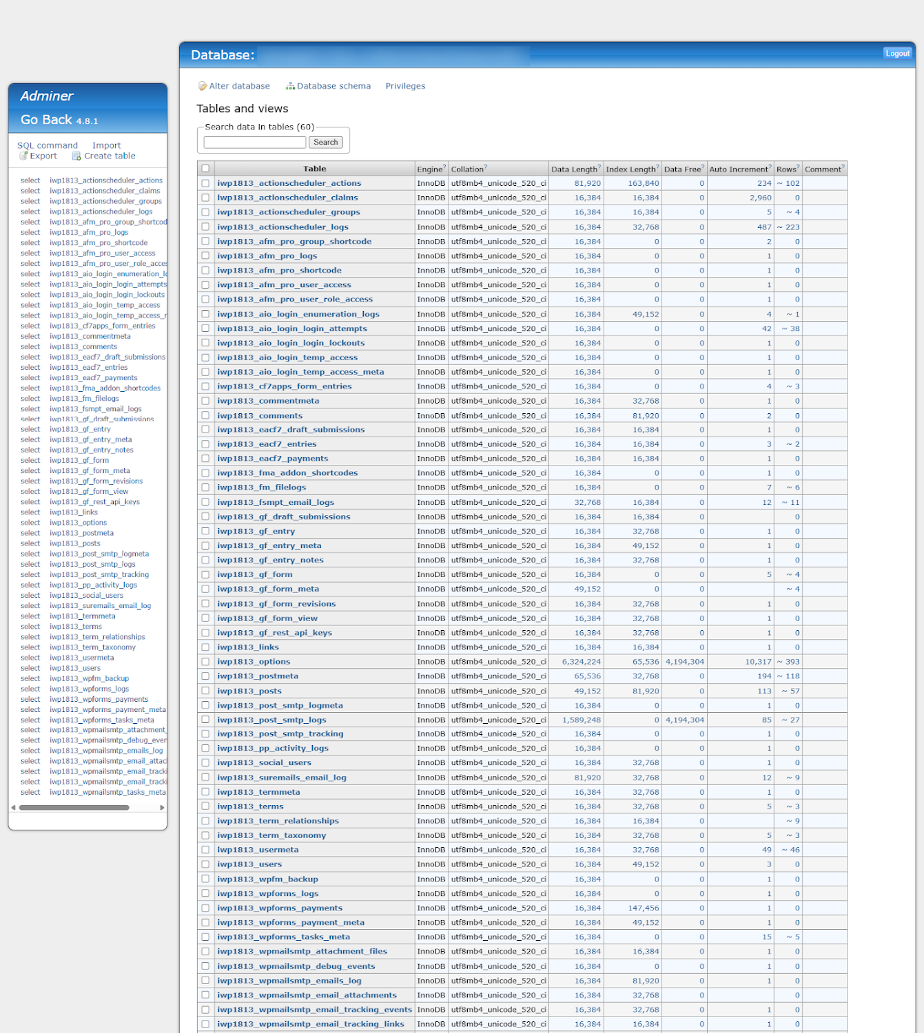 Adminer (Data Manager)2