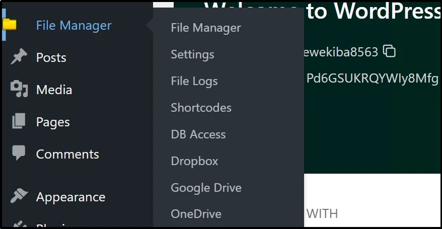file manager