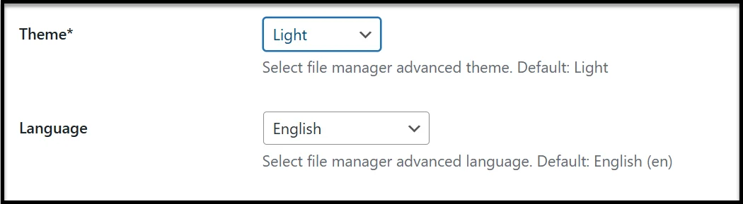 theme and language option