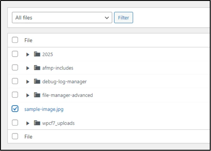 Check files you want to import into Media Library