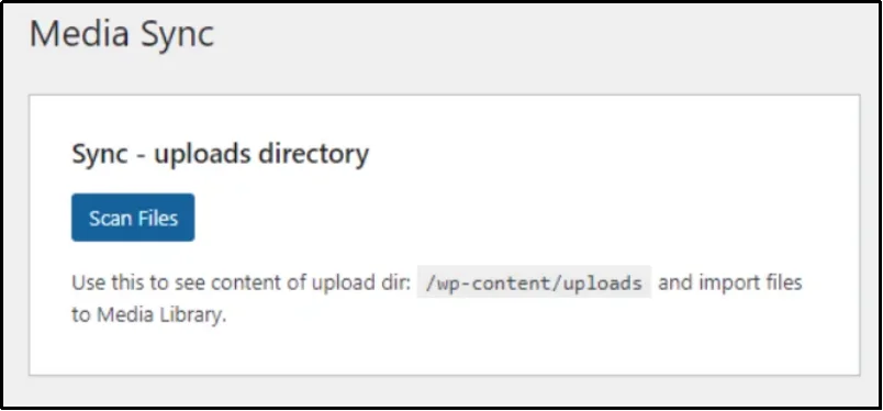 Clicking “Scan Files” in Advanced File Manager