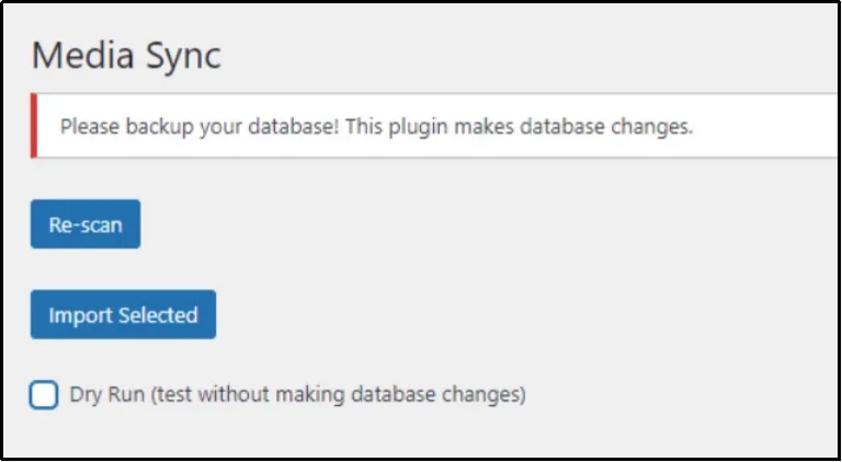 Unchecking the “Dry Run” checkbox in file manager plugin