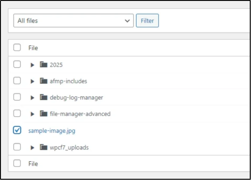 Selecting files to display in WordPress media library