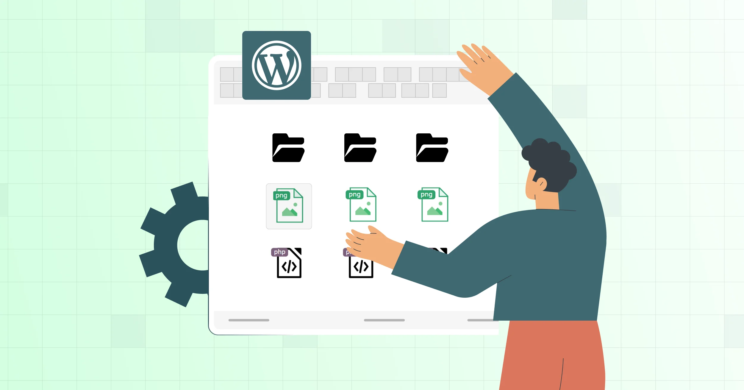 organize WordPress media library