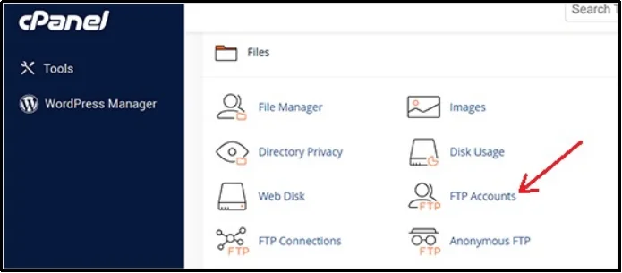 FTP accounts settings page in WordPress