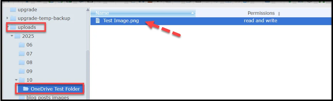 Clicking Scan Files to sync media content