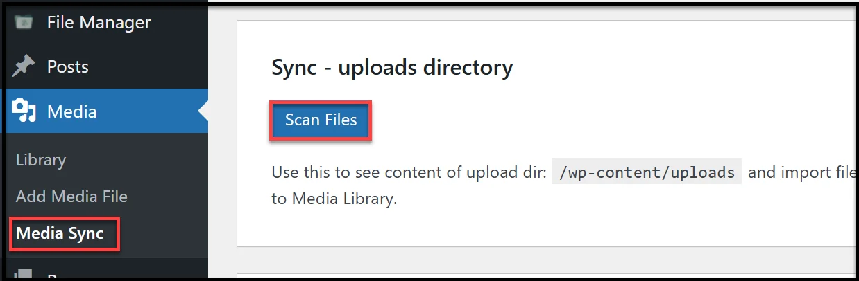Unchecking Dry Run option before syncing files