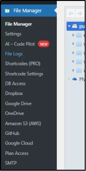Opening the File Manager tab in WordPress