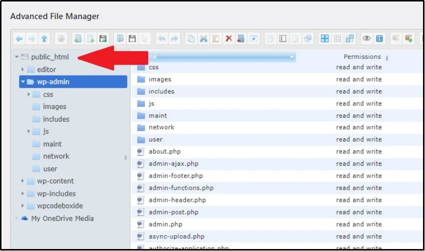 public_html folder containing WordPress core files