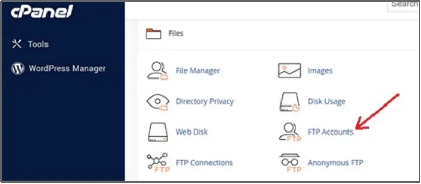 FTP accounts section in hosting panel