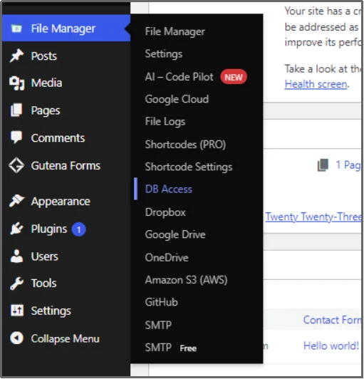 Click on the DB Access option in Advanced File Manager plugin