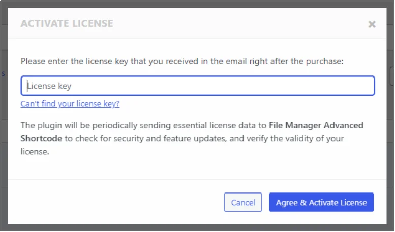 Enter your license key to activate the plugin