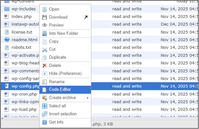 Editing the wp-config.php file in WordPress
