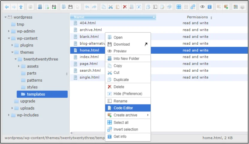 Click the code editor to edit WordPress theme files