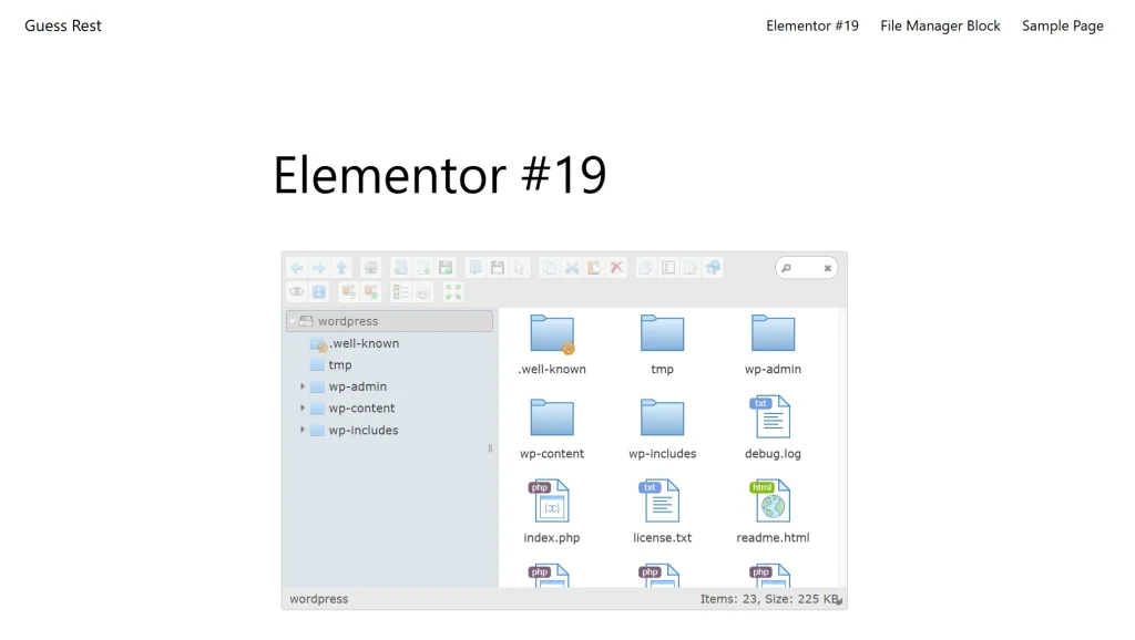 How to Use Divi and Elementor with Advanced File Manager step 5