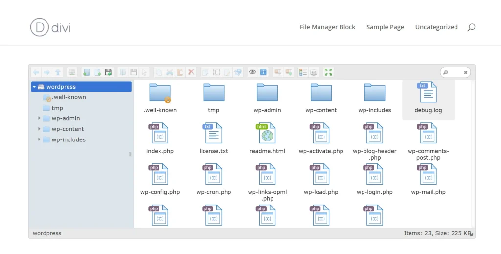 How to Use Divi and Elementor with Advanced File Manager step 10
