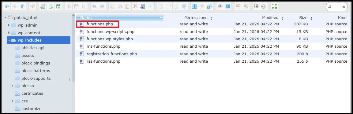 WordPress functions.php file editor