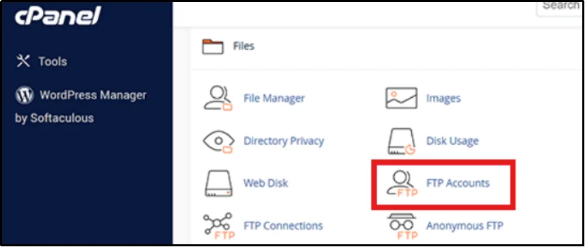 FTP Accounts section inside cPanel settings