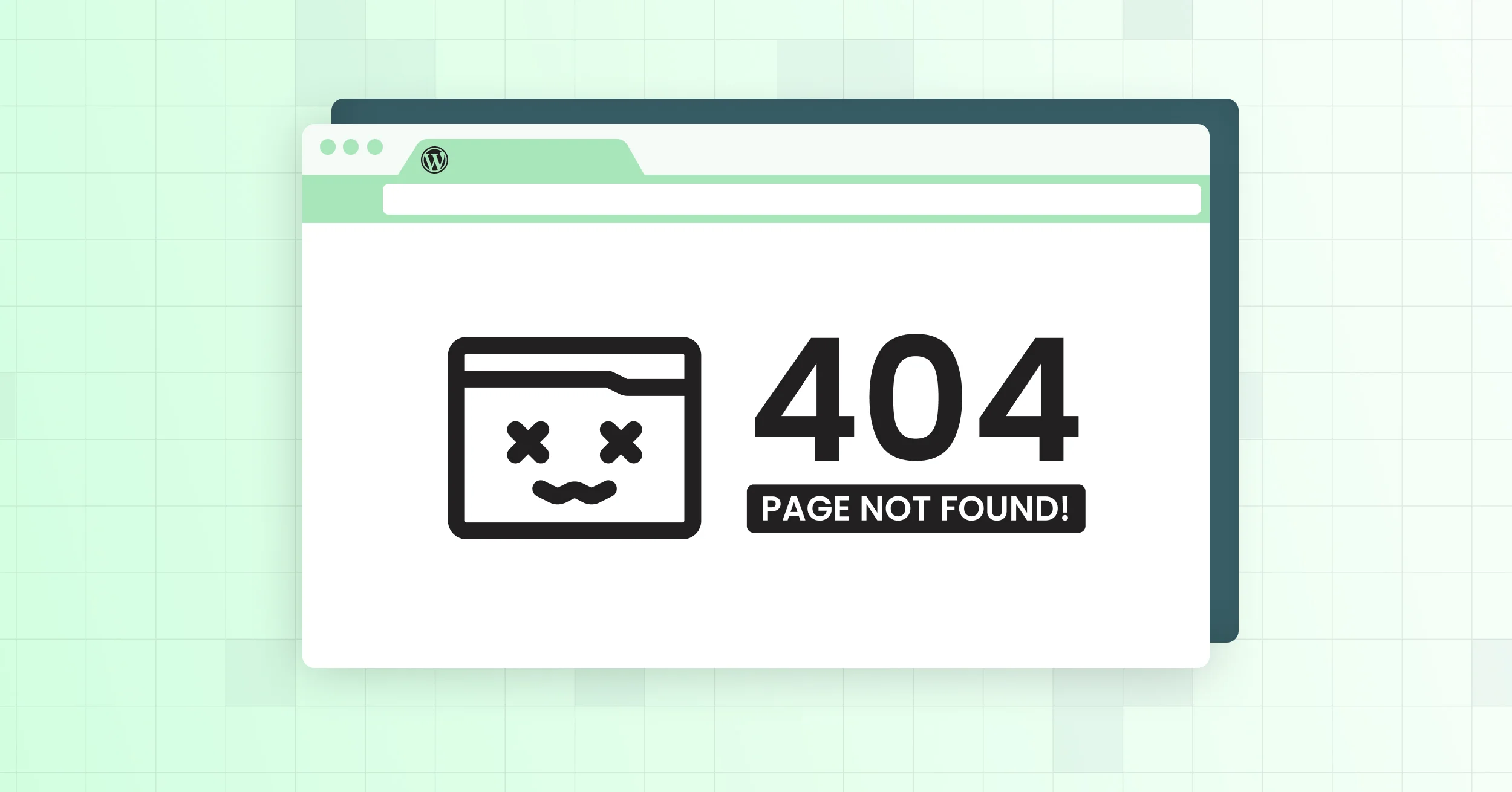 WordPress 404 Error
