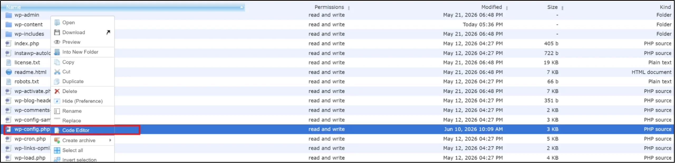 Selecting the Code Editor option for editing WordPress files