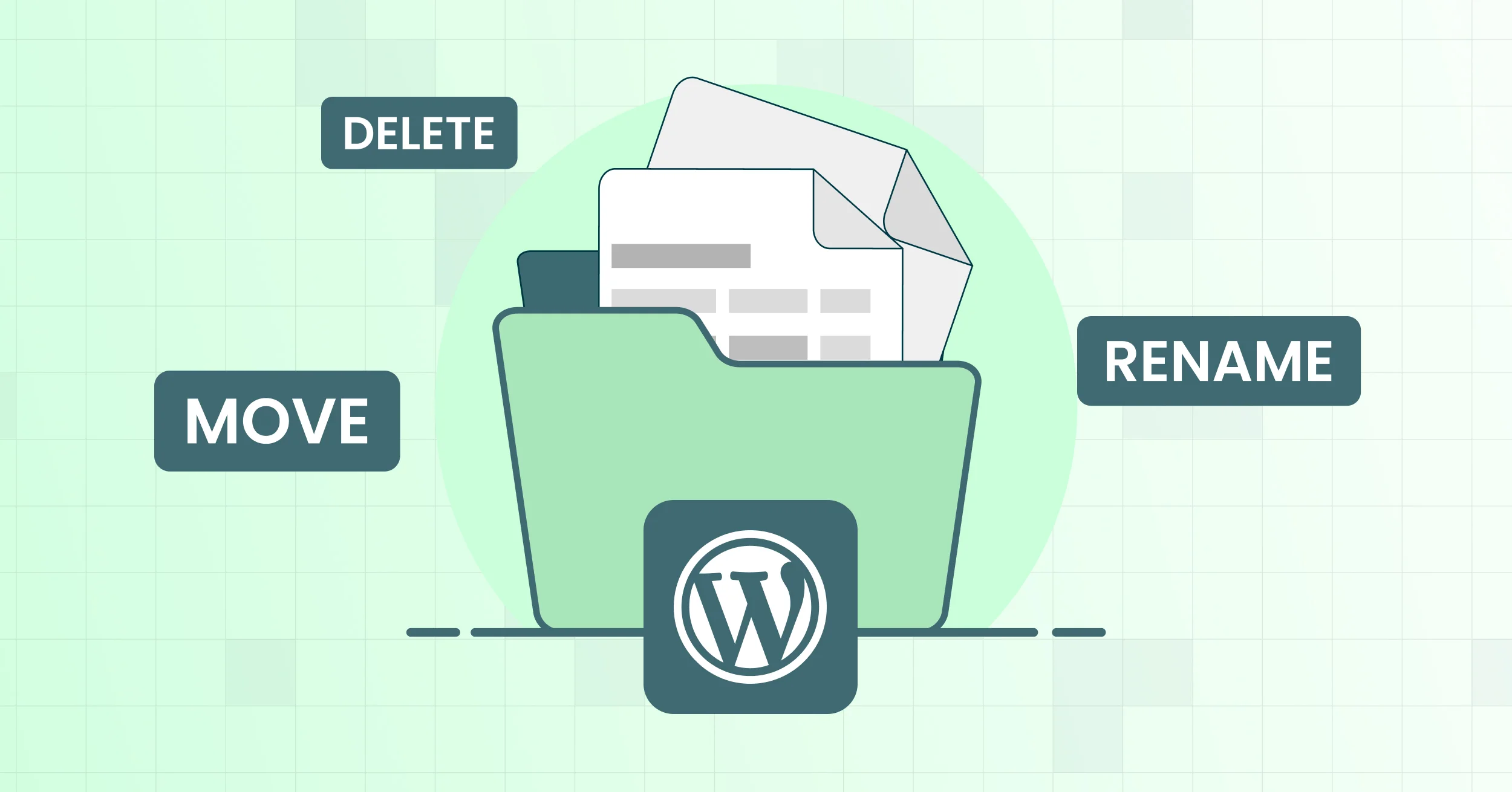 move, rename, and delete files and folders in WordPress