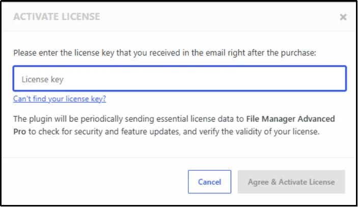 License key field with Agree and Activate button