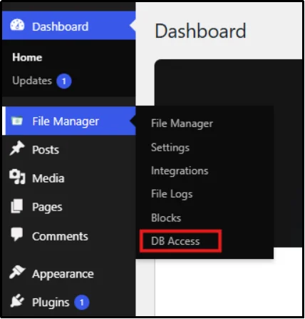 DB Access option in File Manager menu
