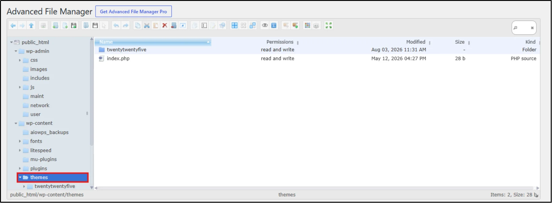 Advanced File Manager browsing the wp-content themes folder
