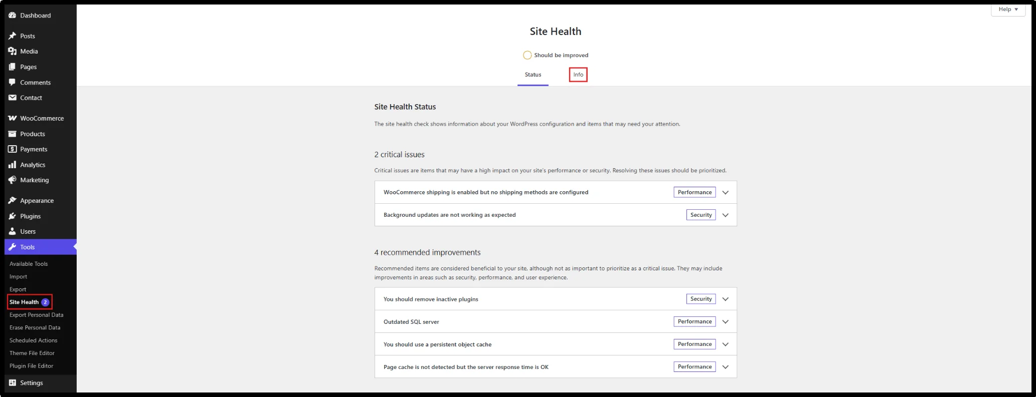 WordPress Site Health screen under Tools with the Info tab highlighted
