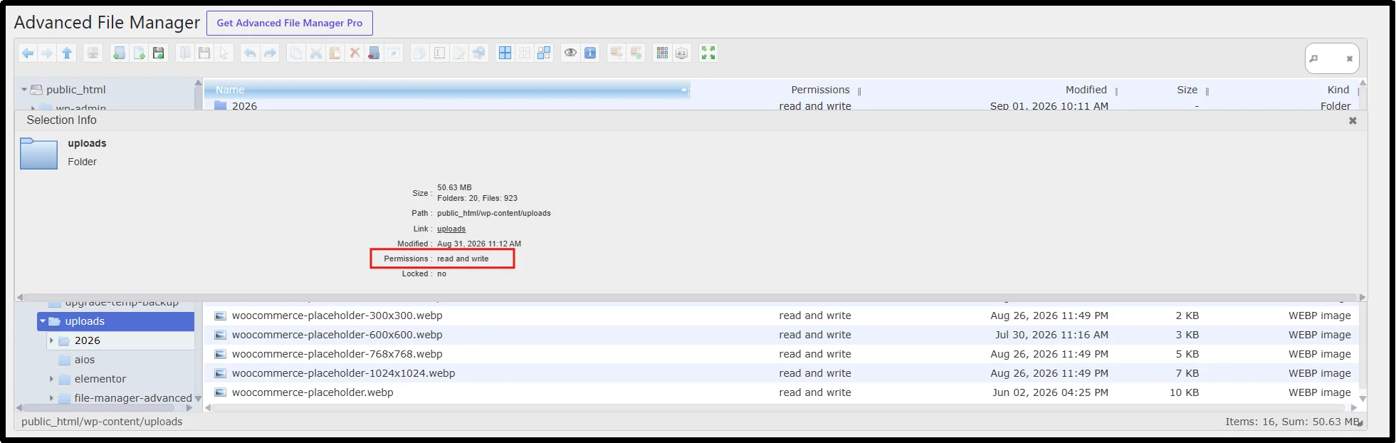 Advanced File Manager Selection Info panel showing read and write permissions for the uploads folder